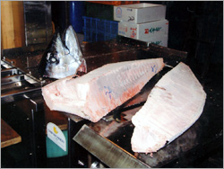 浦安 東京湾 屋形船